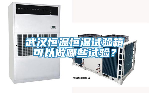 武漢恒溫恒濕試驗(yàn)箱可以做哪些試驗(yàn)？