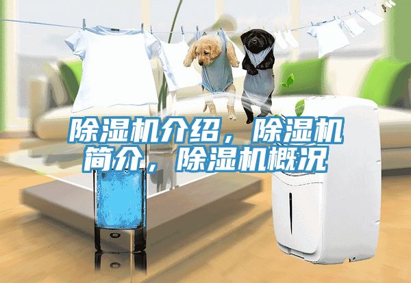 除濕機(jī)介紹，除濕機(jī)簡介，除濕機(jī)概況