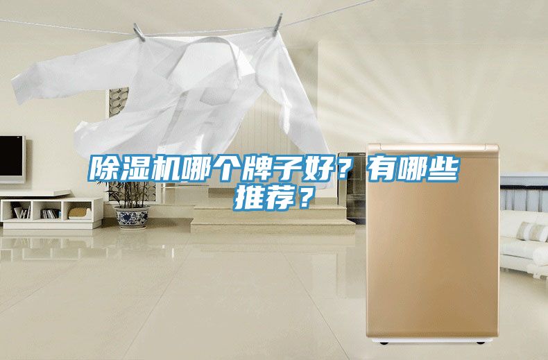 除濕機(jī)哪個(gè)牌子好？有哪些推薦？