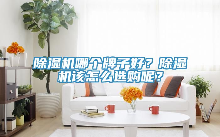 除濕機(jī)哪個牌子好？除濕機(jī)該怎么選購呢？