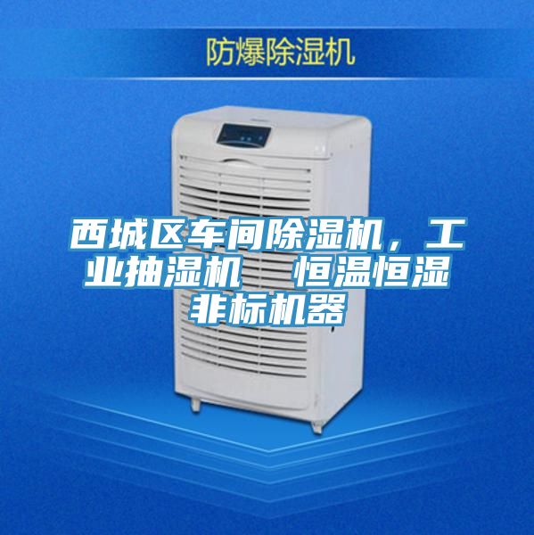 西城區(qū)車間除濕機(jī)，工業(yè)抽濕機(jī)  恒溫恒濕非標(biāo)機(jī)器