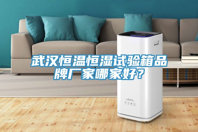 武漢恒溫恒濕試驗(yàn)箱品牌廠家哪家好？