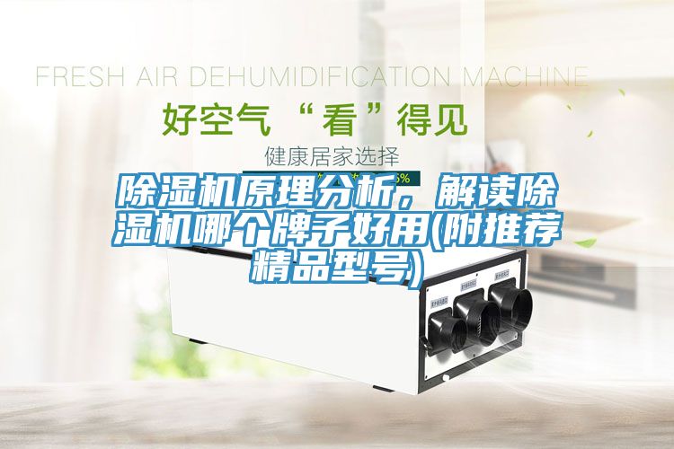 除濕機(jī)原理分析，解讀除濕機(jī)哪個牌子好用(附推薦精品型號)