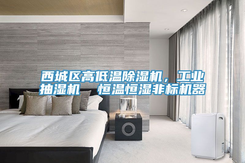 西城區(qū)高低溫除濕機(jī)，工業(yè)抽濕機(jī)  恒溫恒濕非標(biāo)機(jī)器