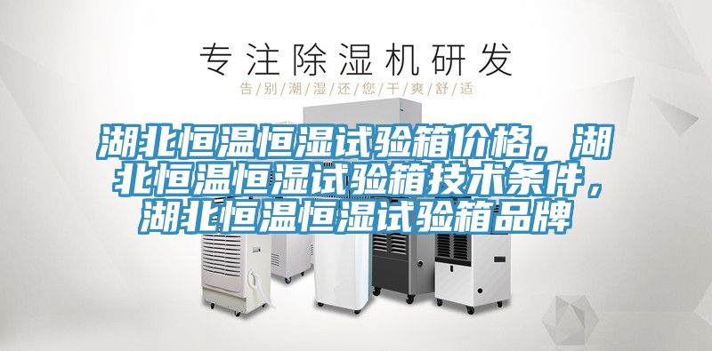 湖北恒溫恒濕試驗(yàn)箱價(jià)格，湖北恒溫恒濕試驗(yàn)箱技術(shù)條件，湖北恒溫恒濕試驗(yàn)箱品牌