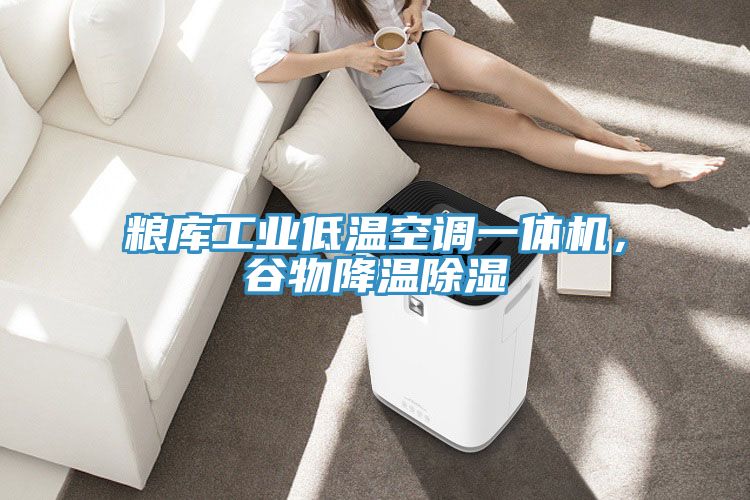 糧庫工業(yè)低溫空調(diào)一體機，谷物降溫除濕
