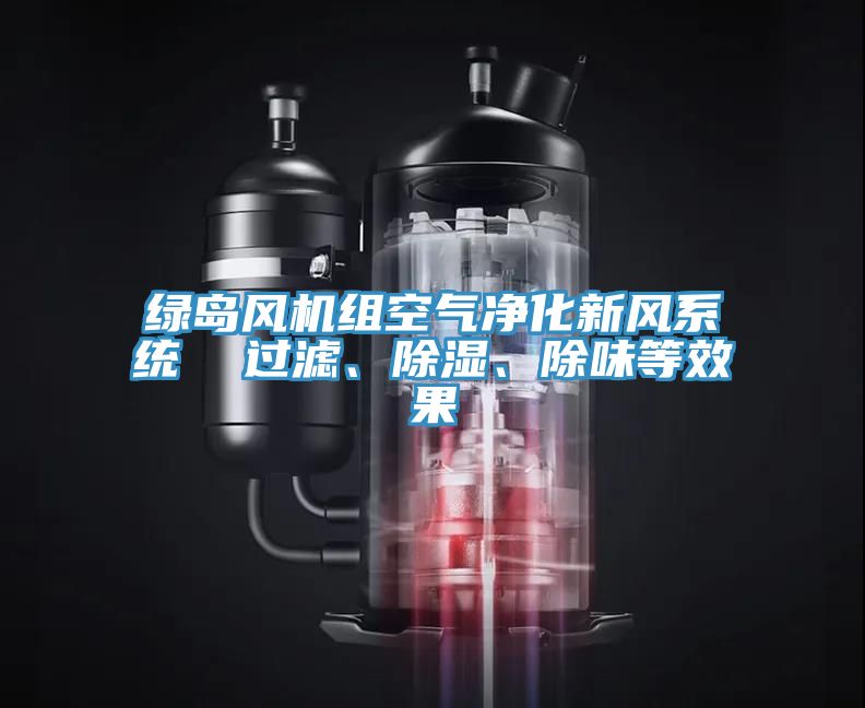 綠島風機組空氣凈化新風系統(tǒng)  過濾、除濕、除味等效果