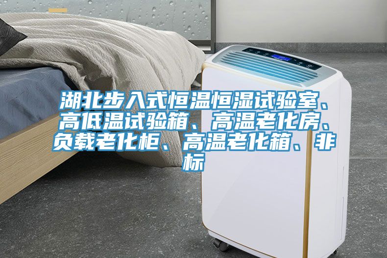 湖北步入式恒溫恒濕試驗(yàn)室、高低溫試驗(yàn)箱、高溫老化房、負(fù)載老化柜、高溫老化箱、非標(biāo)