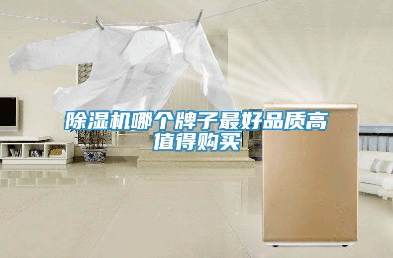 除濕機(jī)哪個牌子最好品質(zhì)高值得購買