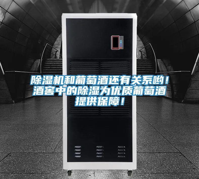 除濕機(jī)和葡萄酒還有關(guān)系喲！酒窖中的除濕為優(yōu)質(zhì)葡萄酒提供保障！