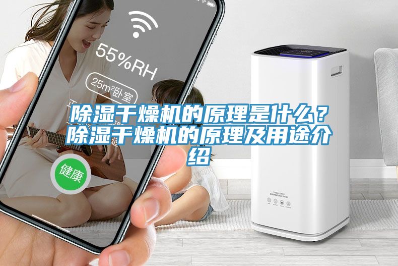 除濕干燥機的原理是什么？除濕干燥機的原理及用途介紹