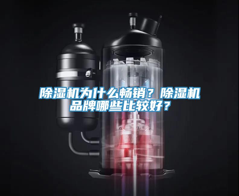 除濕機(jī)為什么暢銷？除濕機(jī)品牌哪些比較好？