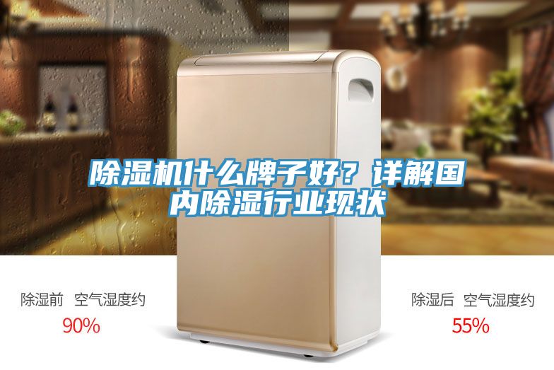 除濕機什么牌子好？詳解國內除濕行業(yè)現(xiàn)狀