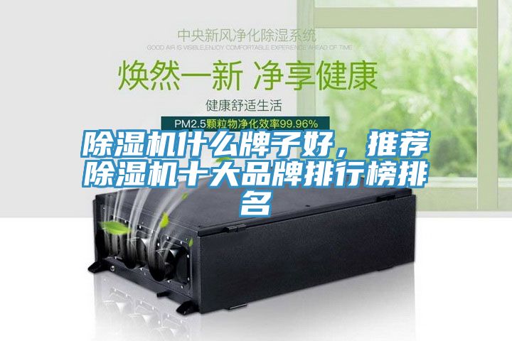 除濕機(jī)什么牌子好，推薦除濕機(jī)十大品牌排行榜排名