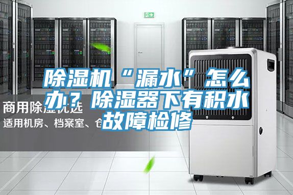 除濕機(jī)“漏水”怎么辦？除濕器下有積水故障檢修