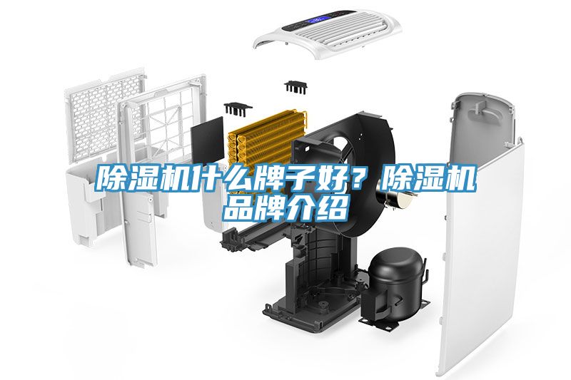 除濕機(jī)什么牌子好？除濕機(jī)品牌介紹