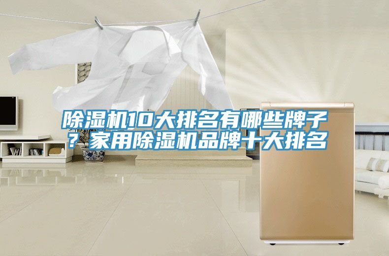 除濕機(jī)10大排名有哪些牌子？家用除濕機(jī)品牌十大排名