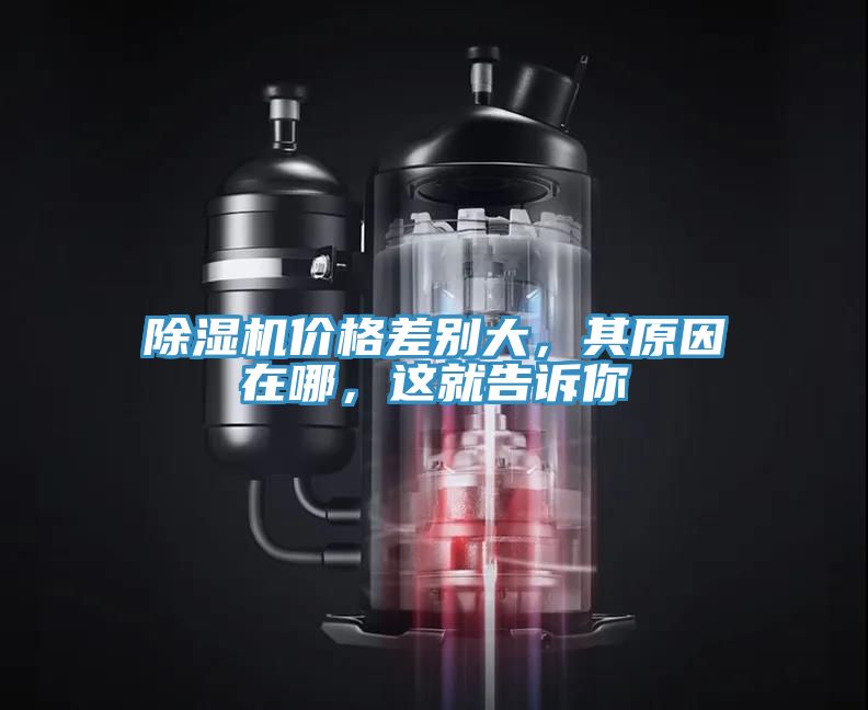 除濕機價格差別大，其原因在哪，這就告訴你