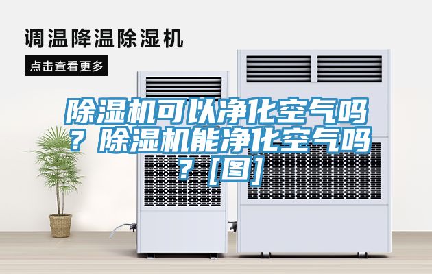 除濕機(jī)可以凈化空氣嗎？除濕機(jī)能凈化空氣嗎？[圖]