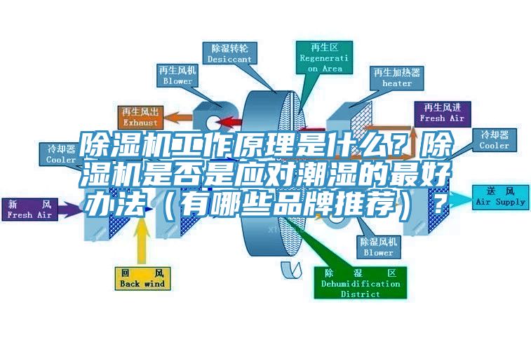 除濕機工作原理是什么？除濕機是否是應(yīng)對潮濕的最好辦法（有哪些品牌推薦）？