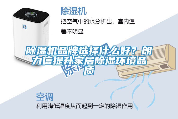 除濕機品牌選擇什么好？朗力信提升家居除濕環(huán)境品質(zhì)