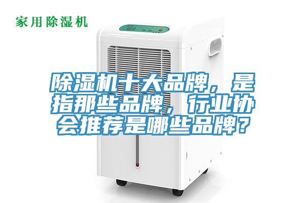 除濕機(jī)十大品牌，是指那些品牌，行業(yè)協(xié)會推薦是哪些品牌？