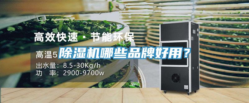 除濕機(jī)哪些品牌好用？