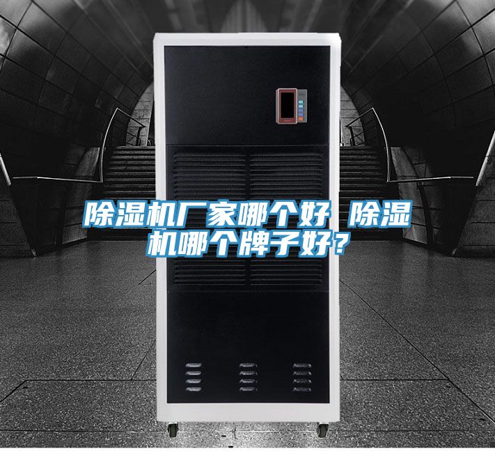 除濕機(jī)廠家哪個好 除濕機(jī)哪個牌子好？