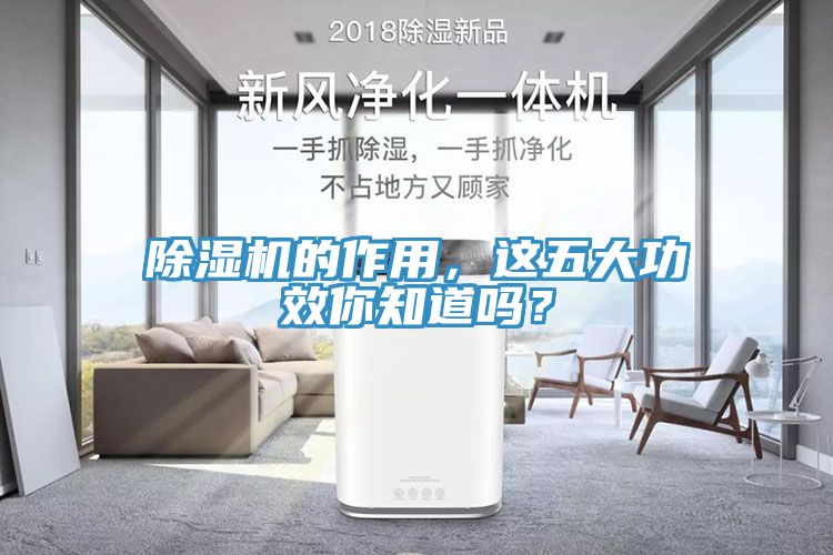 除濕機(jī)的作用，這五大功效你知道嗎？