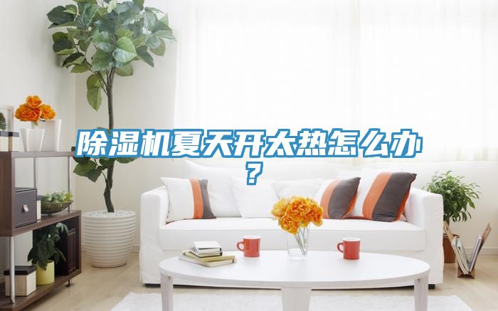 除濕機(jī)夏天開太熱怎么辦？
