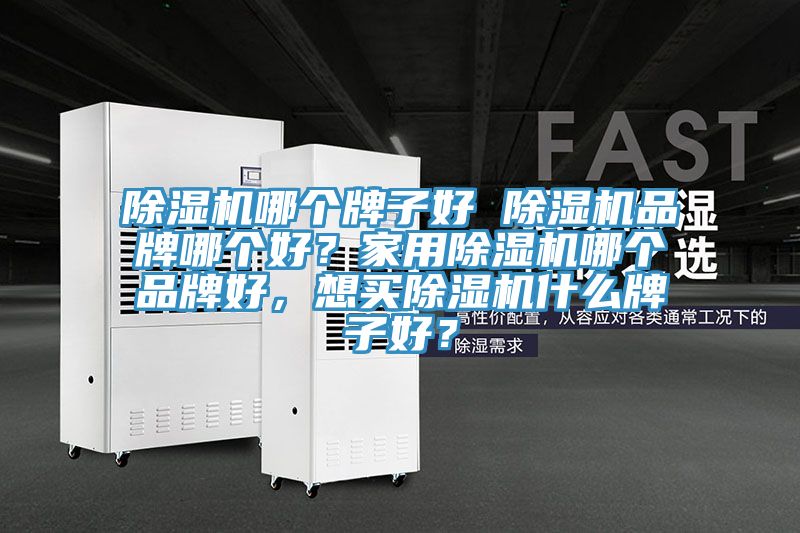 除濕機哪個牌子好 除濕機品牌哪個好？家用除濕機哪個品牌好，想買除濕機什么牌子好？