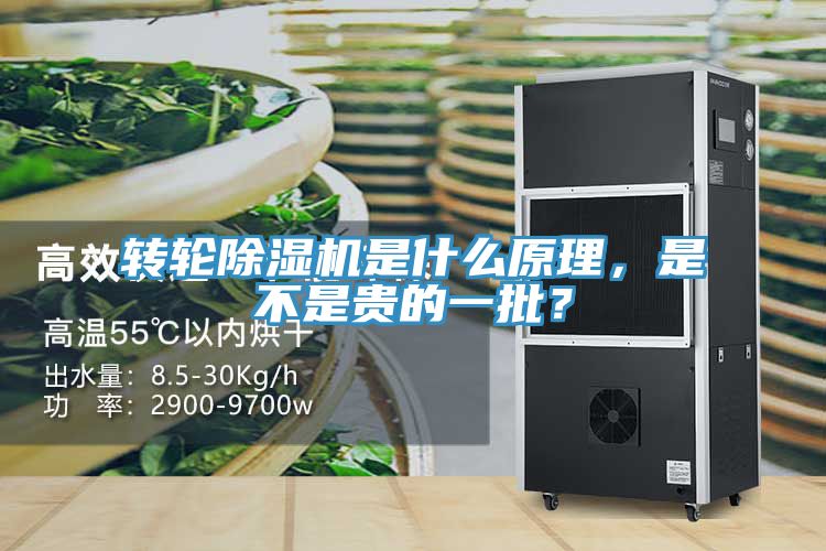 轉(zhuǎn)輪除濕機(jī)是什么原理，是不是貴的一批？