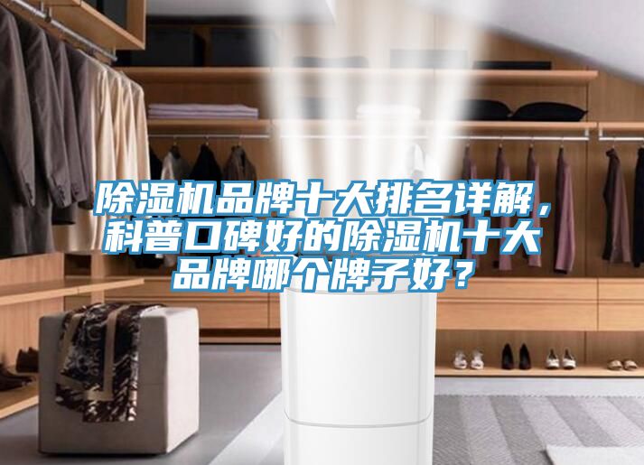 除濕機(jī)品牌十大排名詳解，科普口碑好的除濕機(jī)十大品牌哪個牌子好？