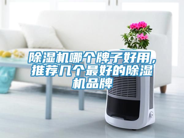 除濕機哪個牌子好用，推薦幾個最好的除濕機品牌