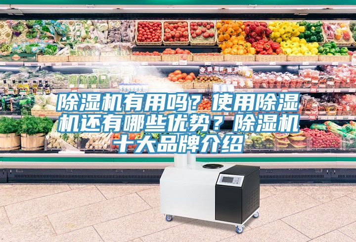 除濕機(jī)有用嗎？使用除濕機(jī)還有哪些優(yōu)勢(shì)？除濕機(jī)十大品牌介紹