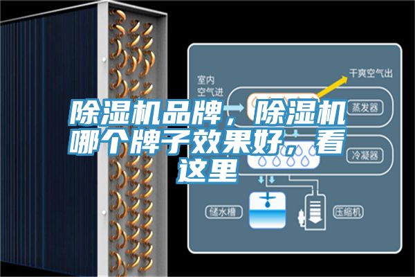 除濕機品牌，除濕機哪個牌子效果好，看這里