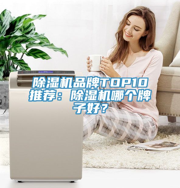 除濕機(jī)品牌TOP10推薦：除濕機(jī)哪個牌子好？