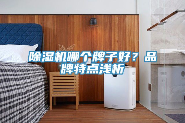 除濕機哪個牌子好？品牌特點淺析