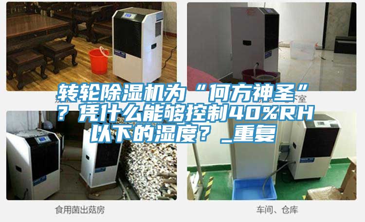 轉(zhuǎn)輪除濕機(jī)為“何方神圣”？憑什么能夠控制40%RH以下的濕度？_重復(fù)