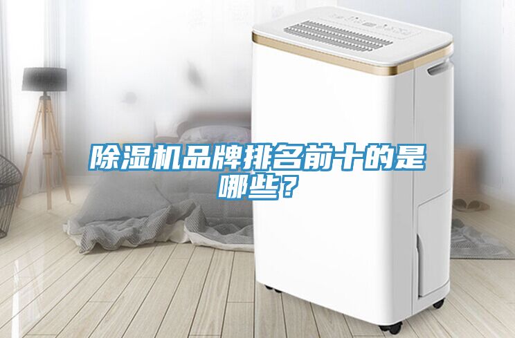 除濕機品牌排名前十的是哪些？