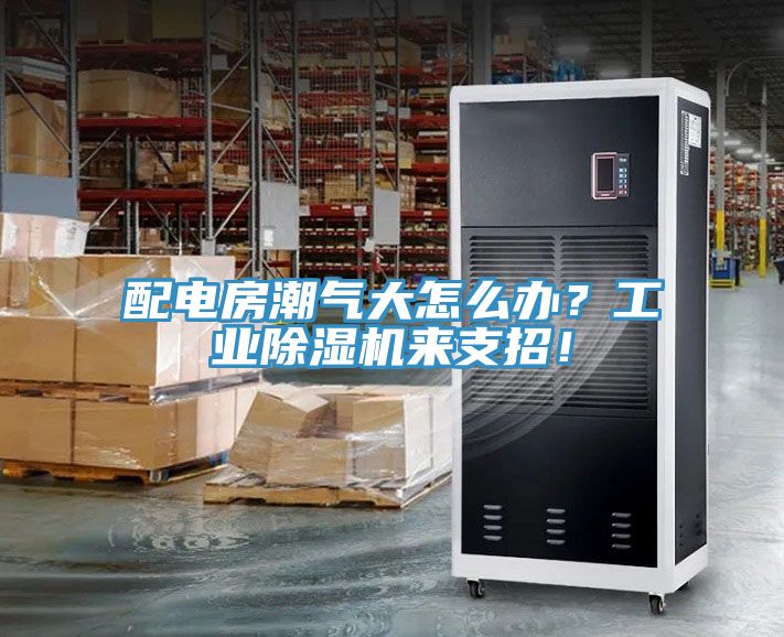 配電房潮氣大怎么辦？工業(yè)除濕機(jī)來支招！