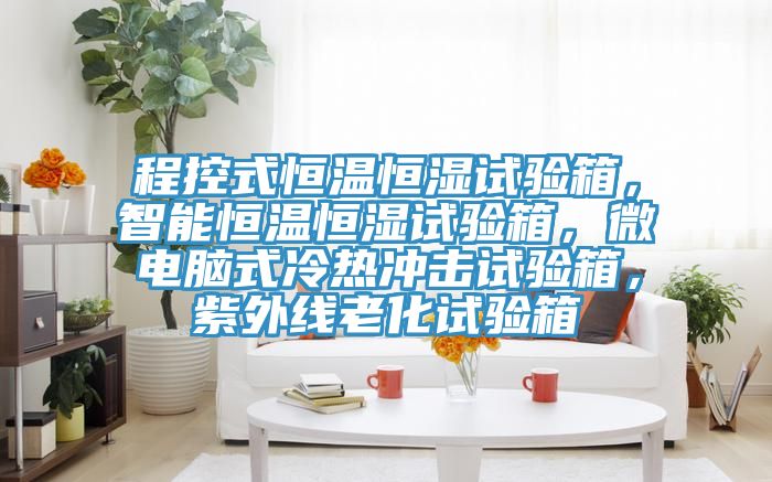 程控式恒溫恒濕試驗箱，智能恒溫恒濕試驗箱，微電腦式冷熱沖擊試驗箱，紫外線老化試驗箱