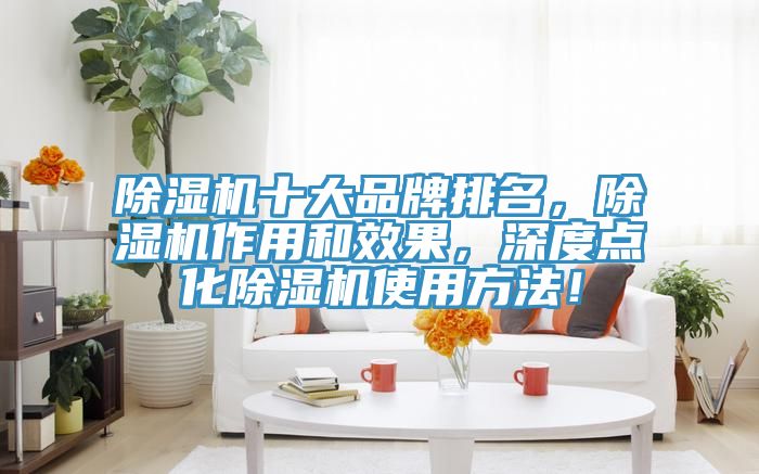 除濕機(jī)十大品牌排名，除濕機(jī)作用和效果，深度點(diǎn)化除濕機(jī)使用方法！