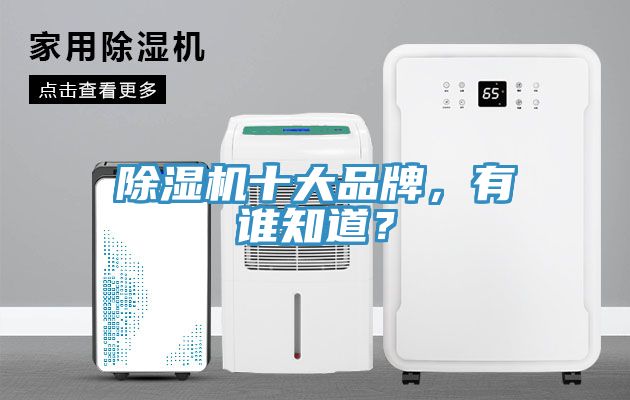 除濕機(jī)十大品牌，有誰知道？