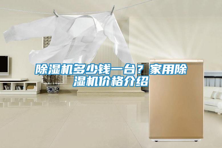 除濕機(jī)多少錢一臺(tái)？家用除濕機(jī)價(jià)格介紹