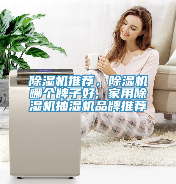 除濕機推薦，除濕機哪個牌子好, 家用除濕機抽濕機品牌推薦