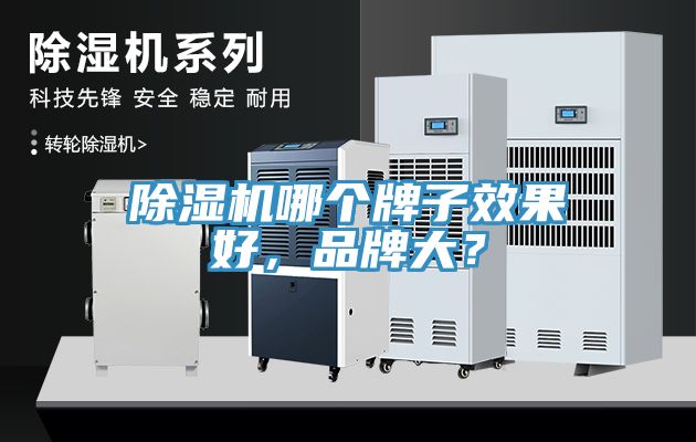 除濕機(jī)哪個(gè)牌子效果好，品牌大？