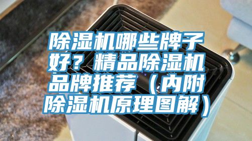 除濕機(jī)哪些牌子好？精品除濕機(jī)品牌推薦（內(nèi)附除濕機(jī)原理圖解）