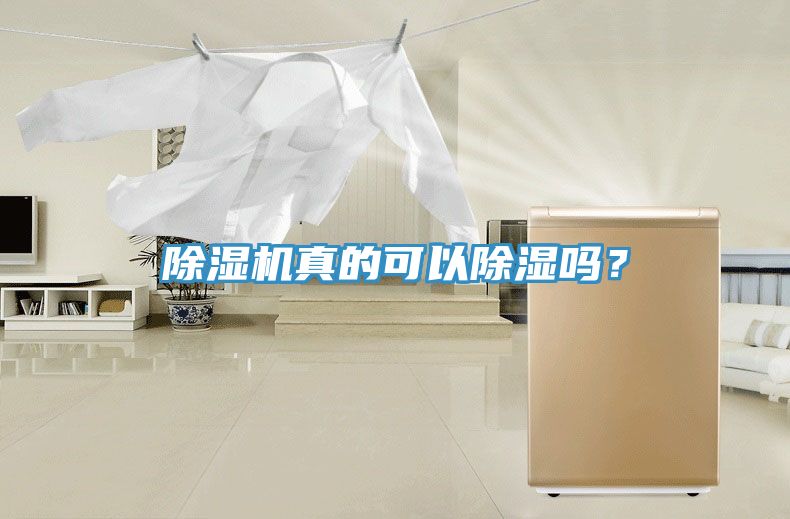除濕機(jī)真的可以除濕嗎？