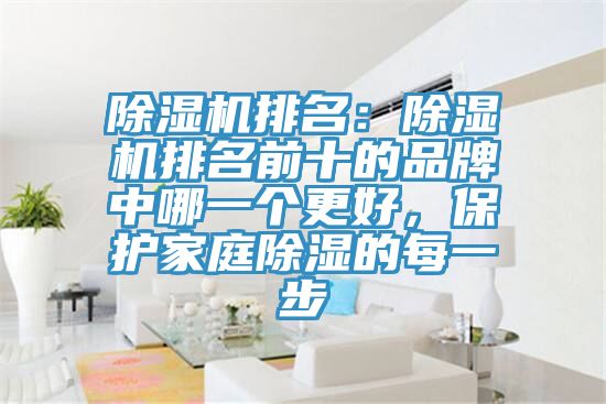 除濕機排名：除濕機排名前十的品牌中哪一個更好，保護(hù)家庭除濕的每一步